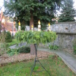 advent-104