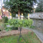 advent-106