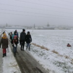 advent-164