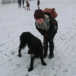 advent-178