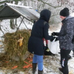 advent-187
