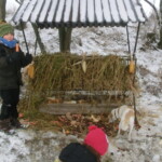advent-196