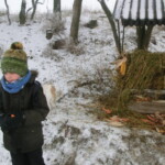 advent-197