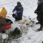 advent-206
