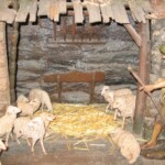 adventní betlém (při každých rorátech je přinesena ovečka a v neděli pastýř) adventni-ohlednuti34.jpg