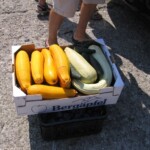 archa-rajnochovice16