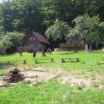 archa-rajnochovice17