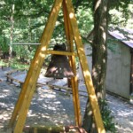 archa-rajnochovice23