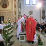 birmovani-043