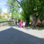 breviar-hrkaci-015