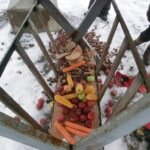 doba-adventni-180