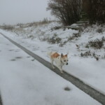 doba-adventni-189