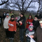 doba-vanocni-060