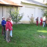 dopoledne-plne-her14.jpg