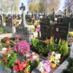 dusickova-poboznost-008