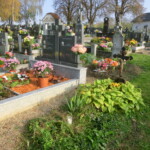 dusickova-poboznost-012