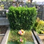 dusickova-poboznost-019