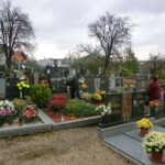dusicky-006