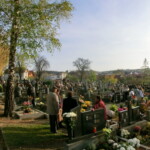 dusicky-034
