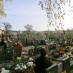 dusicky-036
