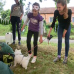 farni-den-025