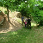 farni-den-038