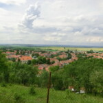 farni-den-062