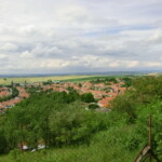 farni-den-063
