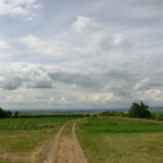 farni-den-067