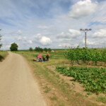 farni-den-077