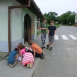 farni-den-2011-032
