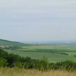 farni-den-2011-051