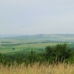 farni-den-2011-052