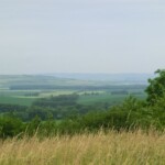 farni-den-2011-053