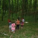 farni-den-2011-055