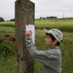 farni-den-2011-072