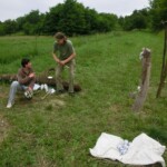 farni-den-2011-078