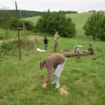 farni-den-2011-087
