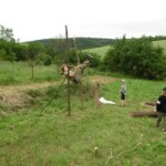 farni-den-2011-089