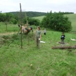farni-den-2011-090