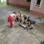 farni-den-2011-115