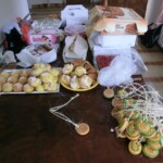 farni-den-2011-124