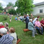 farni-den-2011-226