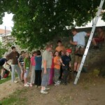 farni-den-2011-240