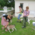 farni-den-2013-004
