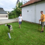 farni-den-2013-006