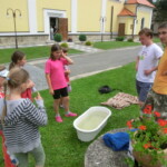 farni-den-2013-031