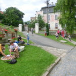 farni-den-2013-033
