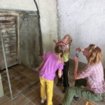 farni-den-2013-077