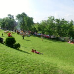 farni-den-2013-106